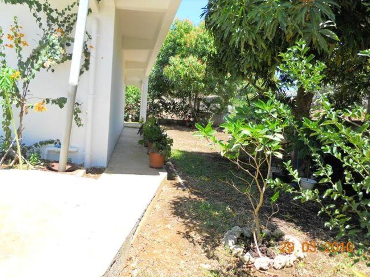 D'une Chambre Avec Jacuzzi Terrasse Et Wifi A Anne A 1 Km De La Plage Appartement